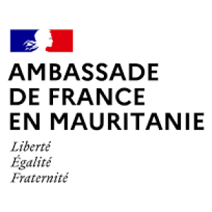 ambassa fr logo
